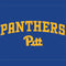 University of Pittsburgh Panthers Pitt PS5 Controller Skin